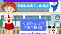 ATP Kelas 1-6