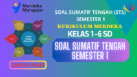 Soal Sumatif Tengah Semester 1 (STS)